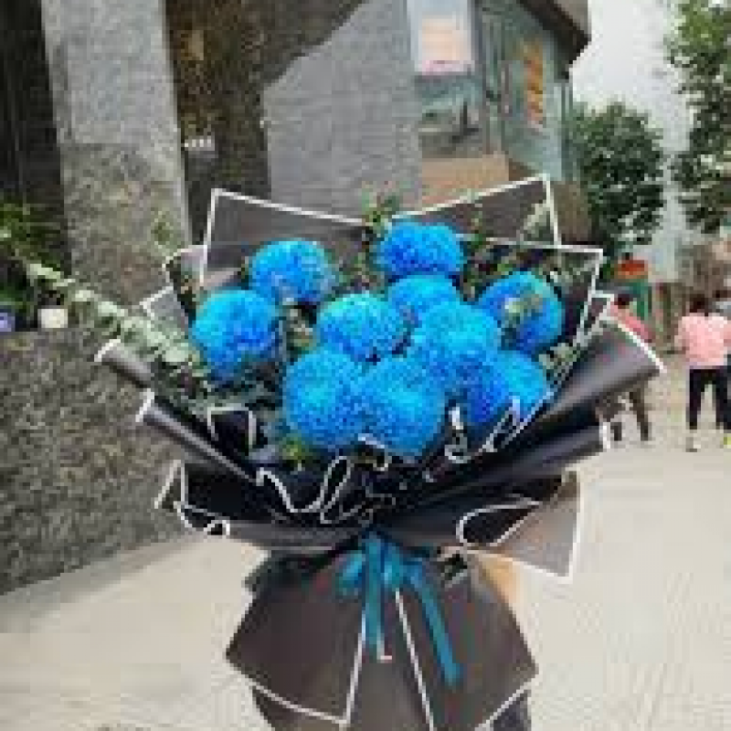 Bó hoa cúc mẫu đơn